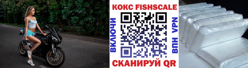 COCAIN Fish Scale  где купить наркоту  Новая Ляля 