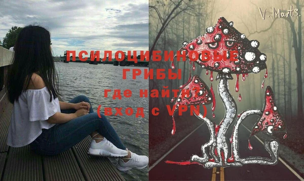 гидра Алексеевка