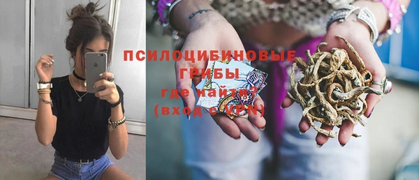 амф Алексин