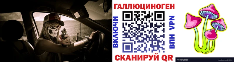 OMG как войти  Новая Ляля  Галлюциногенные грибы Psilocybe 
